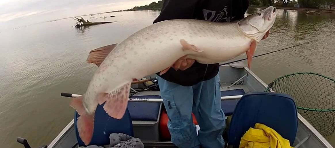 best musky rods for michigan or wisconsin